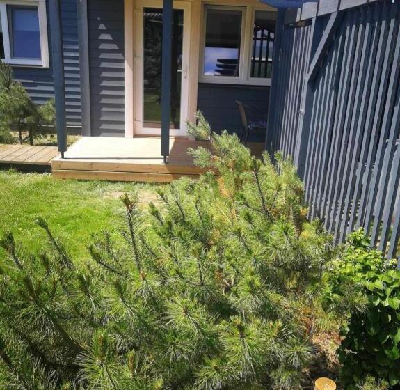 Standard Rum med Terrass, Dobilas Ir Jura