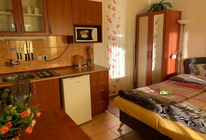 חדר סטודיו סטנדרד, Adria Penzión