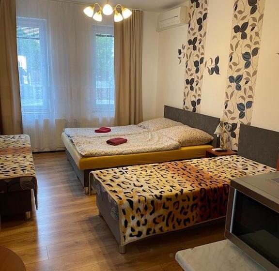 חדר סטודיו סטנדרד, Adria Penzión