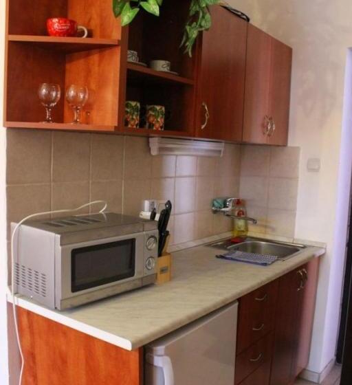 חדר סטודיו סטנדרד, Adria Penzión