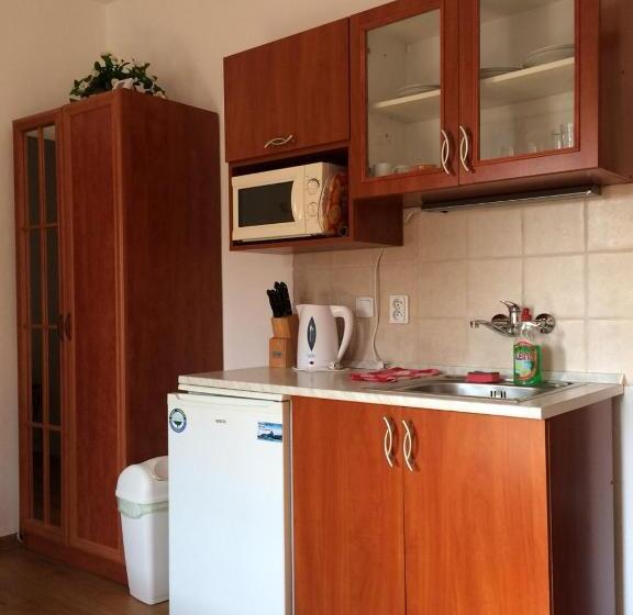 חדר סטודיו סטנדרד, Adria Penzión