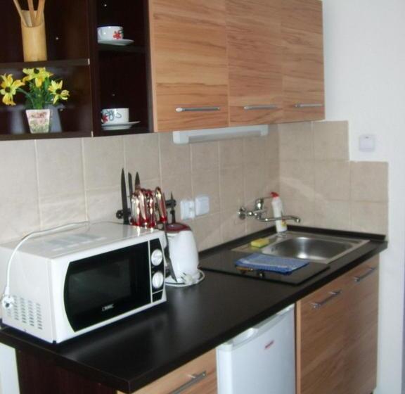 חדר סטודיו סטנדרד, Adria Penzión