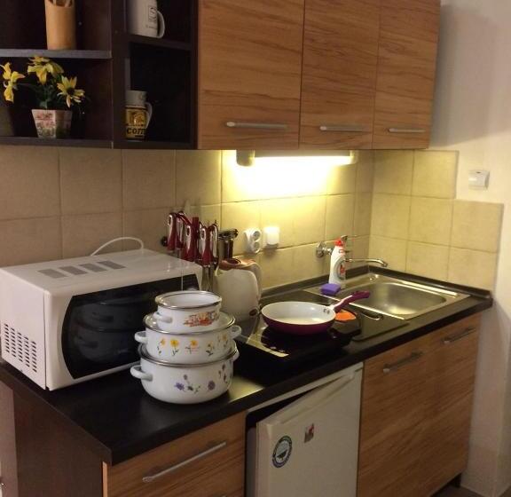 חדר סטודיו סטנדרד, Adria Penzión