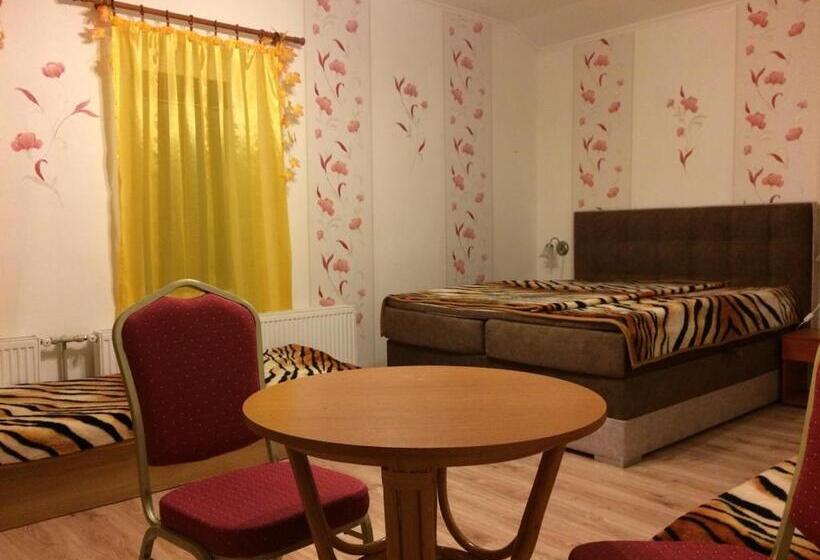 חדר סטודיו סטנדרד, Adria Penzión