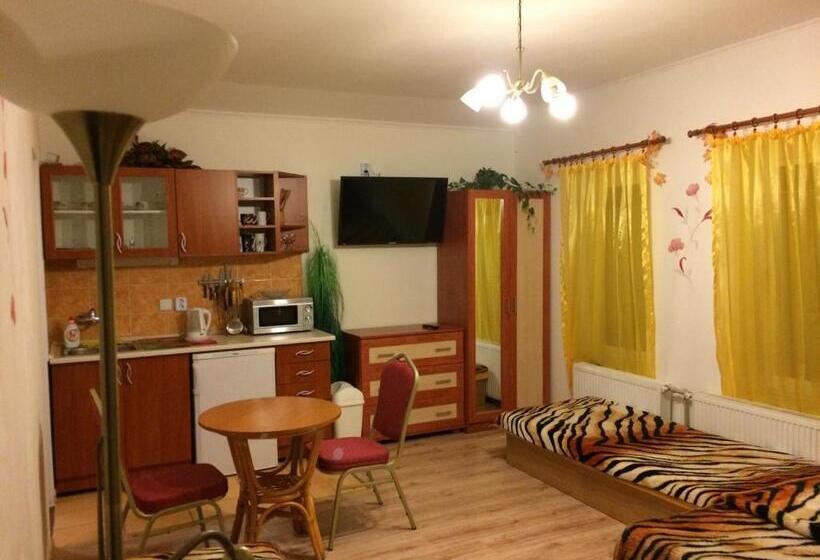 חדר סטודיו סטנדרד, Adria Penzión