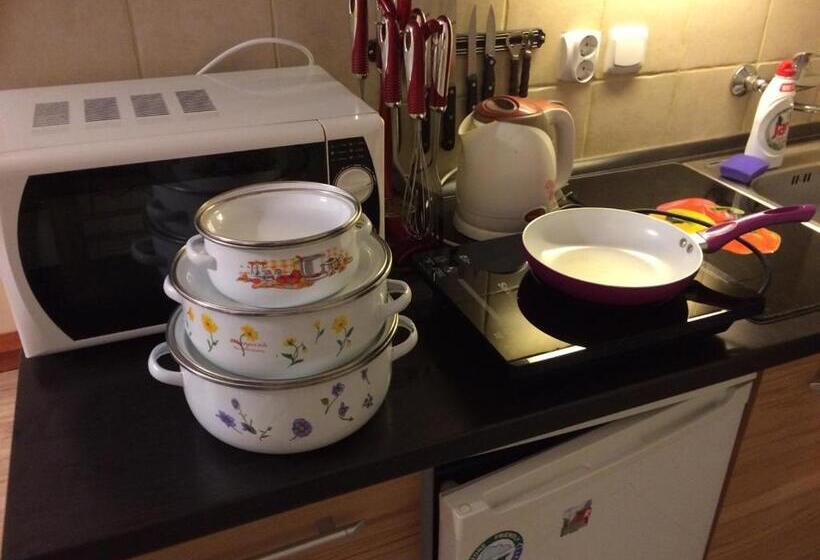 חדר סטודיו סטנדרד, Adria Penzión