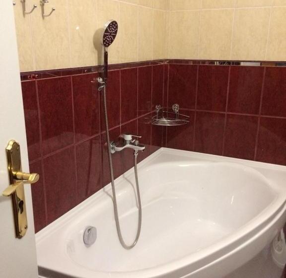 חדר סטודיו סטנדרד, Adria Penzión