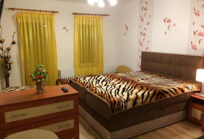 חדר סטודיו סטנדרד, Adria Penzión