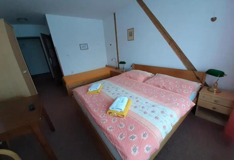 Perhehuoneisto, Penzion Oliver
