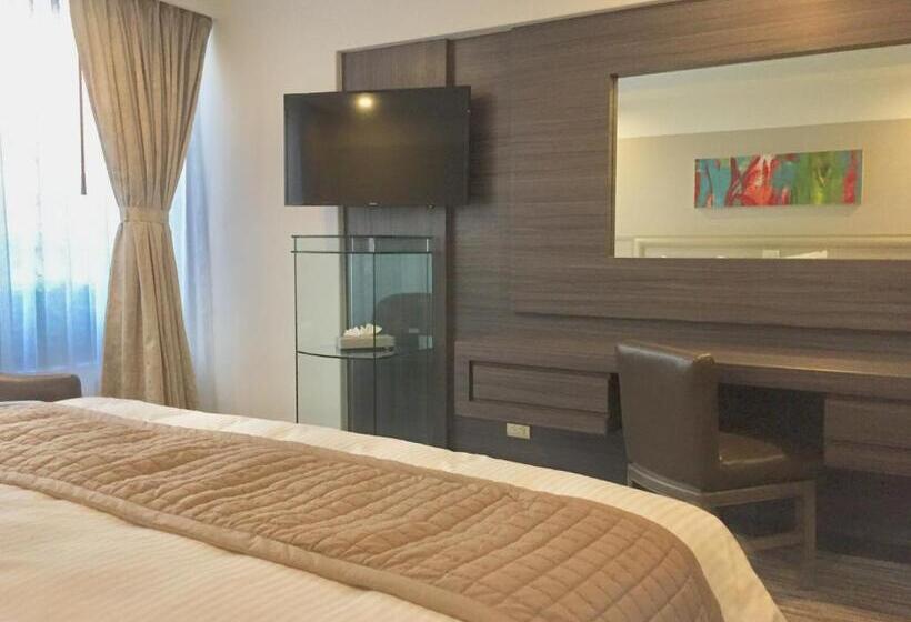 Стандартный Номер Кровать Кинг, Marbella