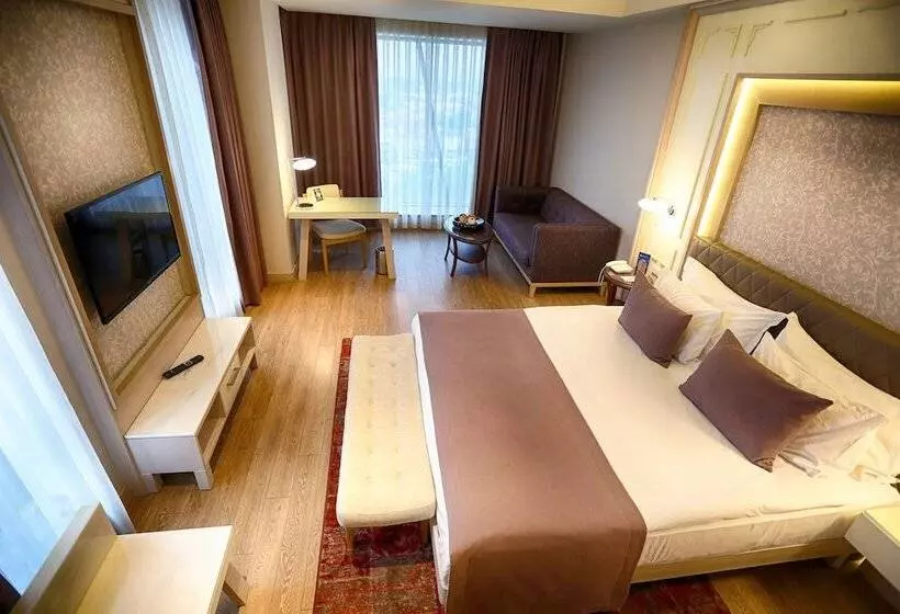 Deluxe-huone, The Green Park Ankara