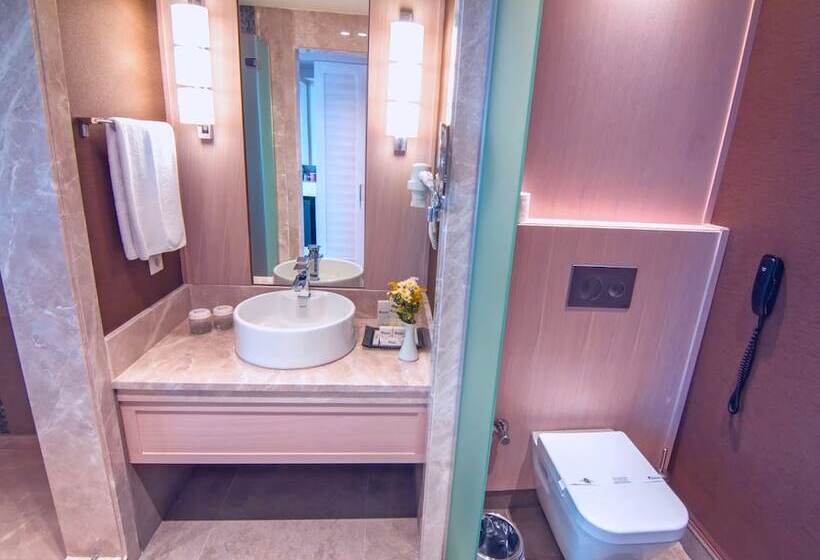 Habitació Deluxe, The Green Park  Ankara