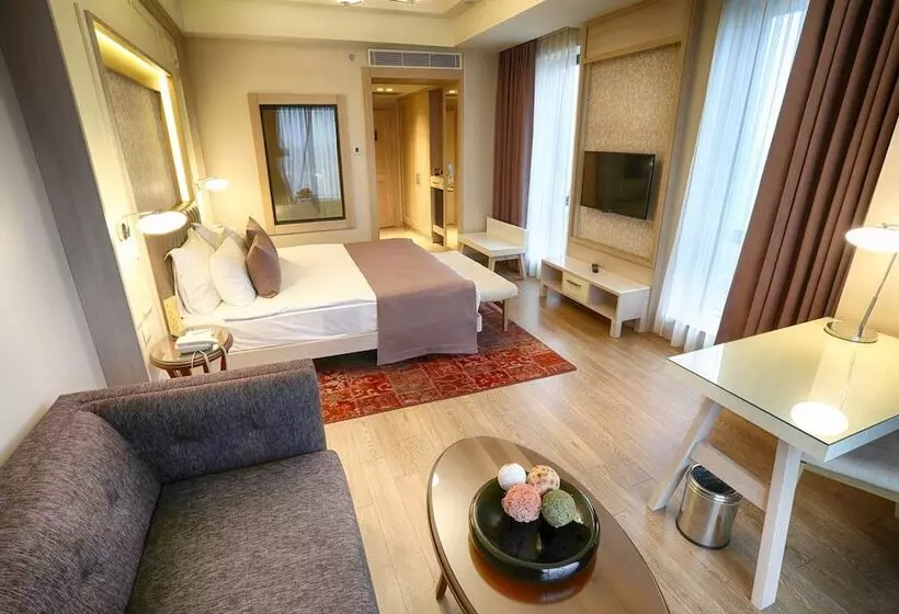 Deluxe-huone, The Green Park Ankara