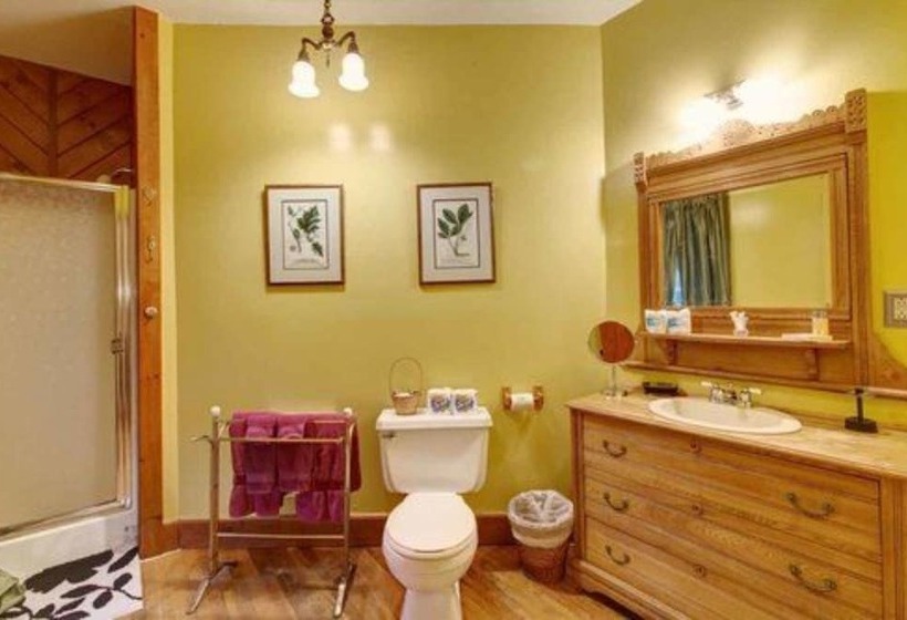 Номер Стандарт, Margaretville Mountain Inn B&b