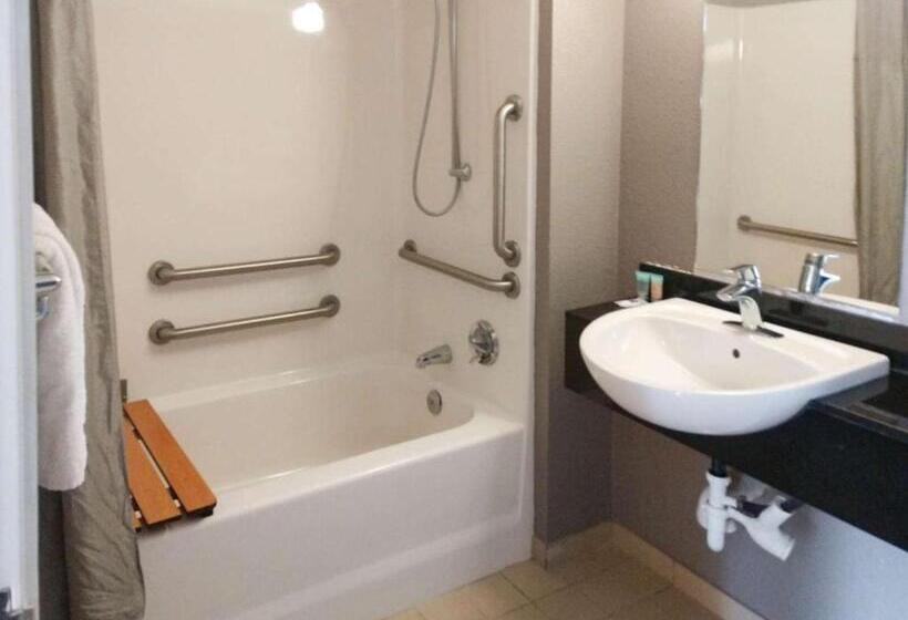 غرفة قياسية فردية لذوى الإحتياجات الخاصة, Park Inn By Radisson, Cheyenne