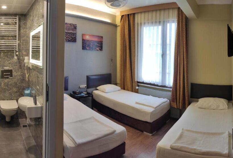 اتاق استاندارد سه نفره, Torun Istanbul Old City
