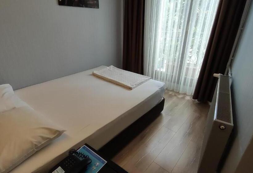 اتاق استاندارد با چشم‌انداز باغ, Torun Istanbul Old City