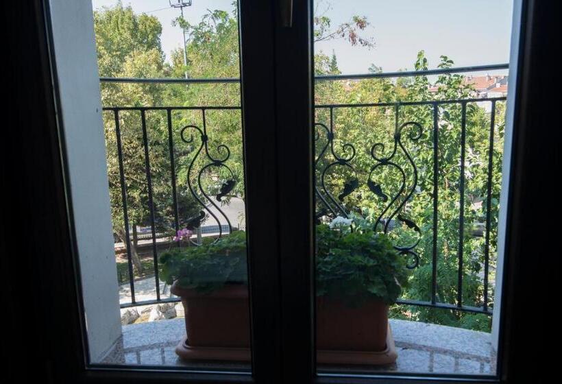 اتاق استاندارد با چشم‌انداز باغ, Torun Istanbul Old City