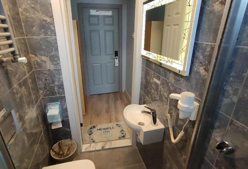 اتاق استاندارد با چشم‌انداز باغ, Torun Istanbul Old City