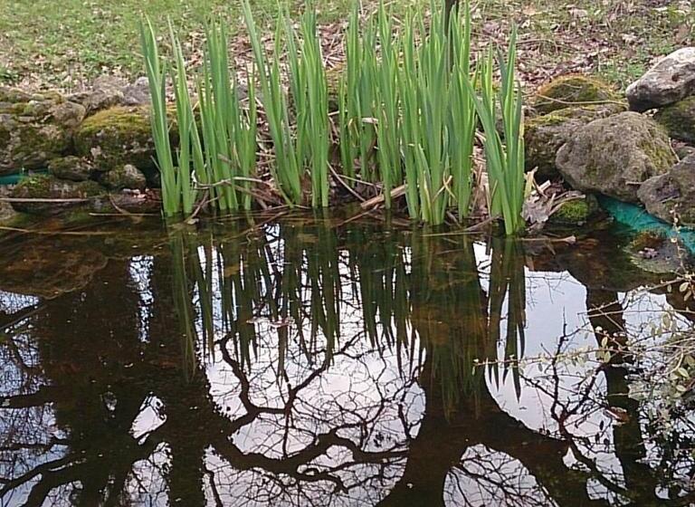 חדר סטנדרט, Agriturismo Ca'de'gatti