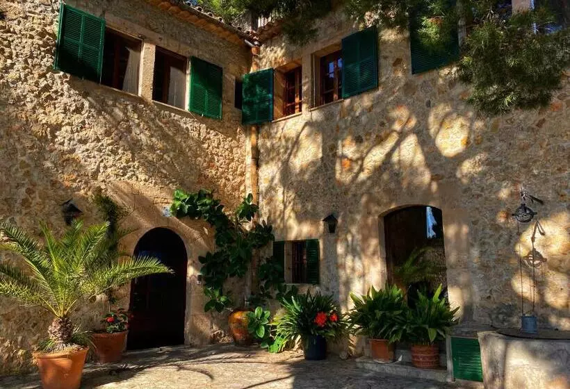 スタンダードシングルルーム, Asis De Marratxinet Turismo De Interior