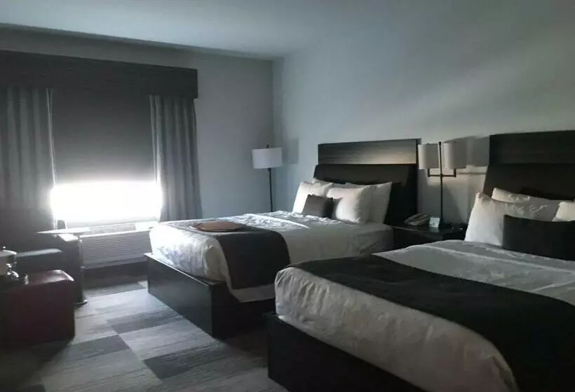 キッチン付きスタンダードルーム, Best Western Plus Airport Inn & Suites