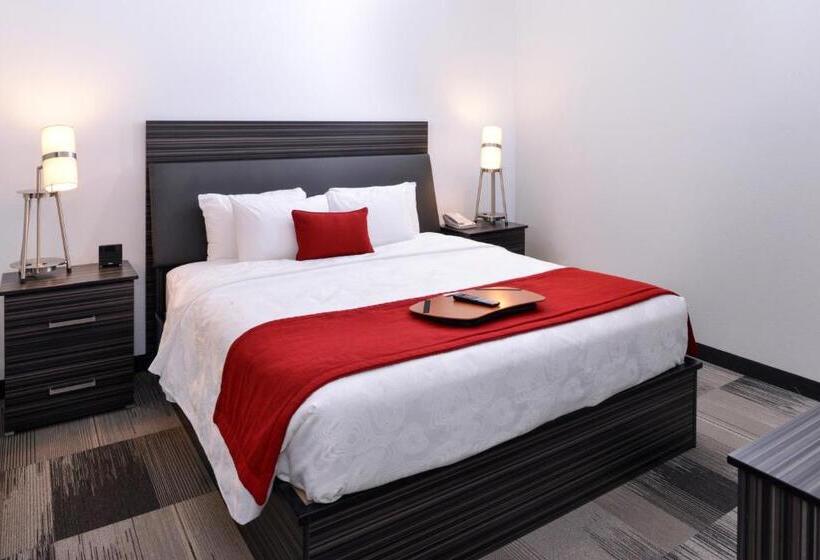 סוויטת סופריור, Best Western Plus Airport Inn & Suites