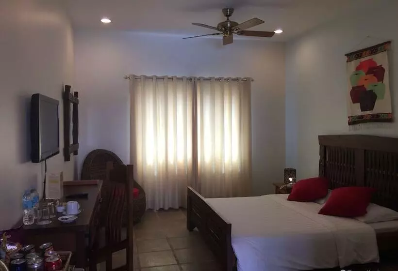 Chambre Supérieure, Corto Del Mar