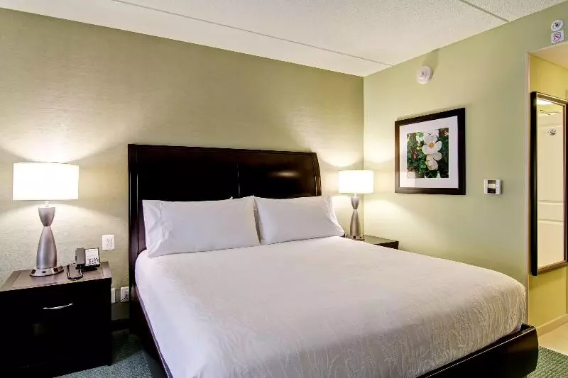 キングサイズベッドのスタンダードルーム, Hilton Garden Inn Woodbridge