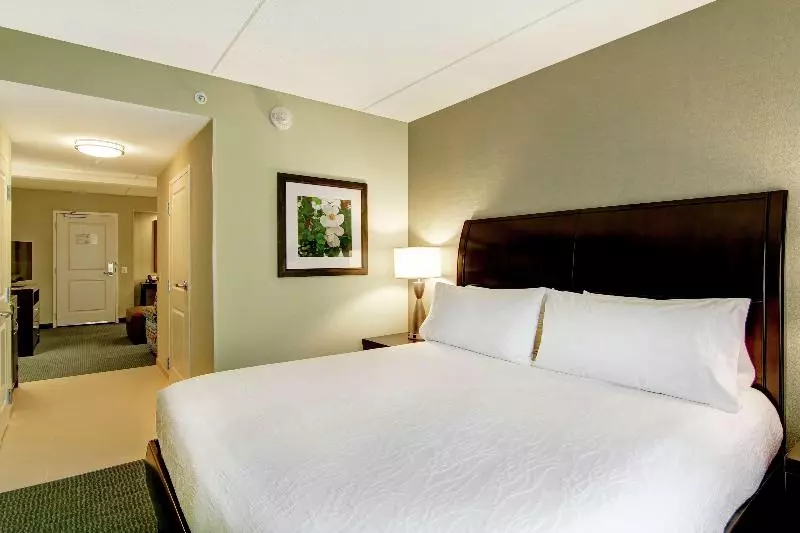 キングサイズベッドのジュニアスイート, Hilton Garden Inn Woodbridge