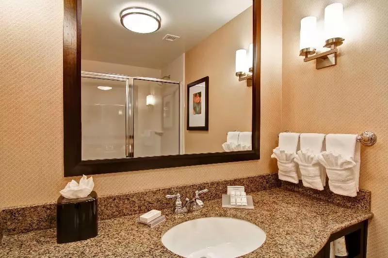 キングサイズベッドのジュニアスイート, Hilton Garden Inn Woodbridge