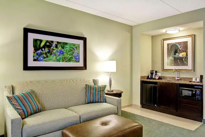 キングサイズベッドのスイートルーム, Hilton Garden Inn Woodbridge
