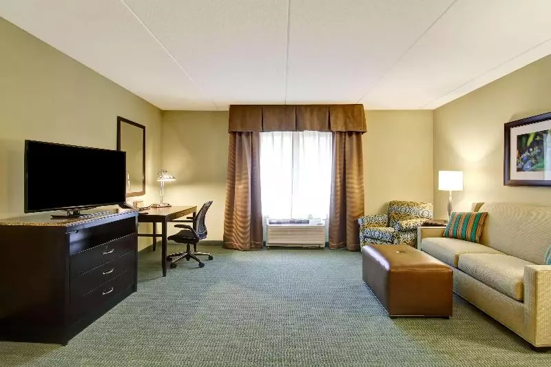 キングサイズベッドのスイートルーム, Hilton Garden Inn Woodbridge