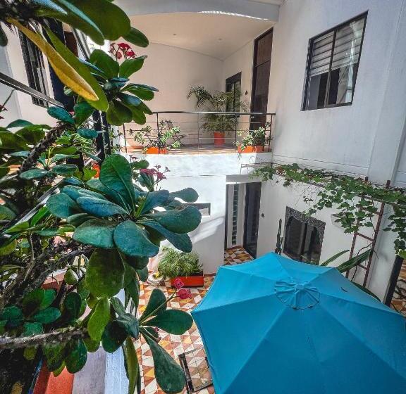 이코노미 룸, The Orange House Santa Marta