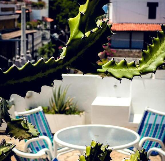 מיטת קינג בסוויטה, The Orange House Santa Marta