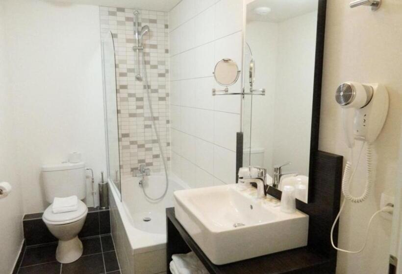 Студия Стандарт, Odalys City Colmar La Rose D Argent