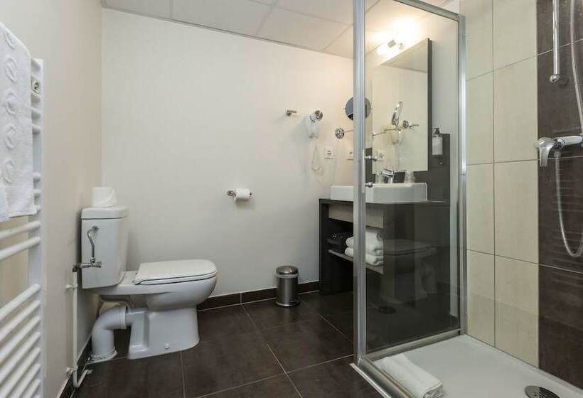 آپارتمان 1 خوابه, Odalys City Colmar La Rose D Argent