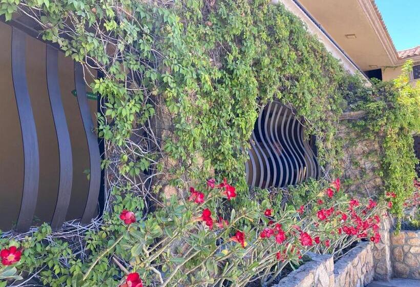 클래식 스위트, Cabo Vista Hotel Adults Only