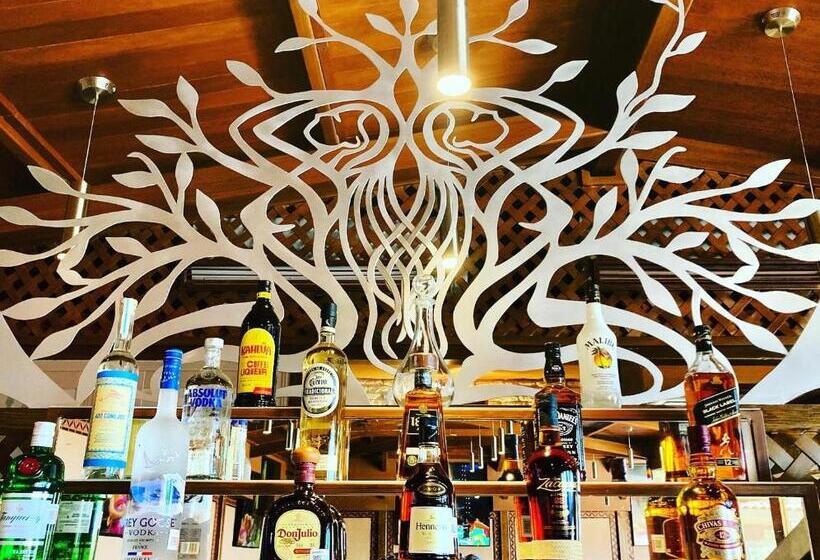 جناح كلاسيكي, Cabo Vista Hotel Adults Only