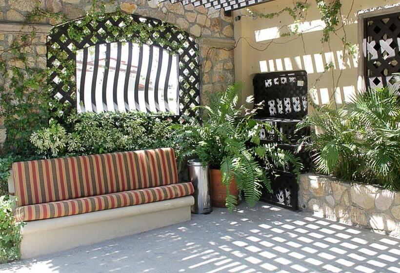 جناح كلاسيكي, Cabo Vista Hotel Adults Only