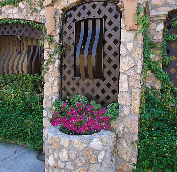 클래식 스위트, Cabo Vista Hotel Adults Only