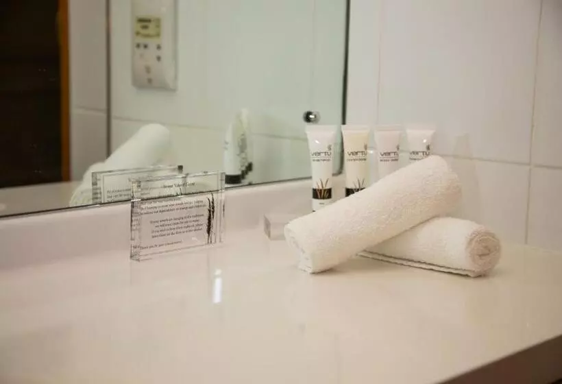 Standard-studio, Methven Resort