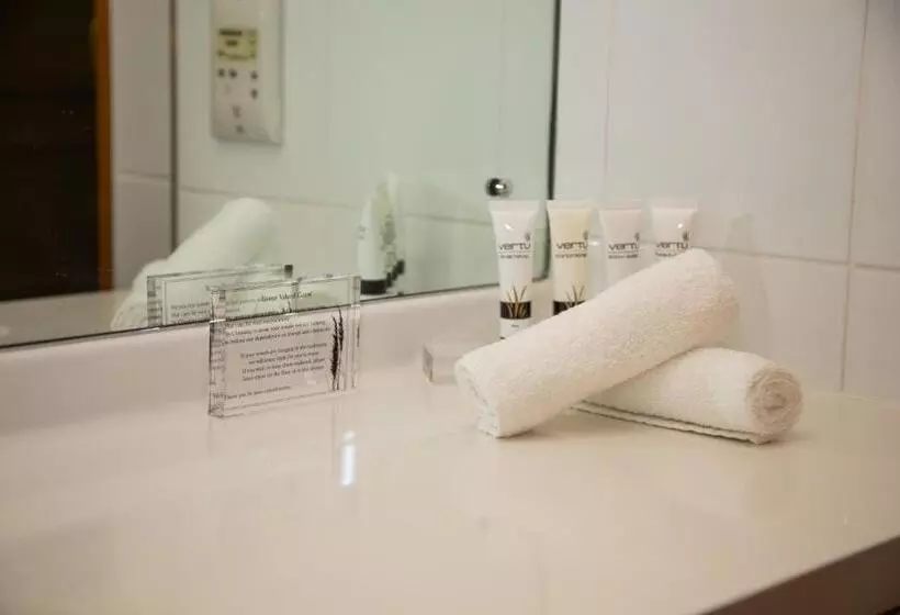 Standard-studio, Methven Resort