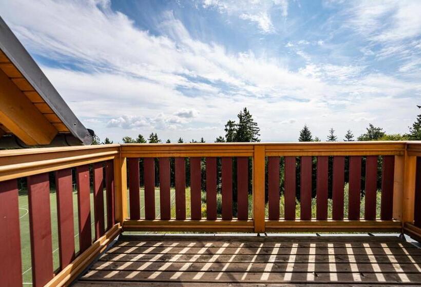 اتاق خانوادگی, Pohorje Village Wellbeing Resort Forest Hotel Videc