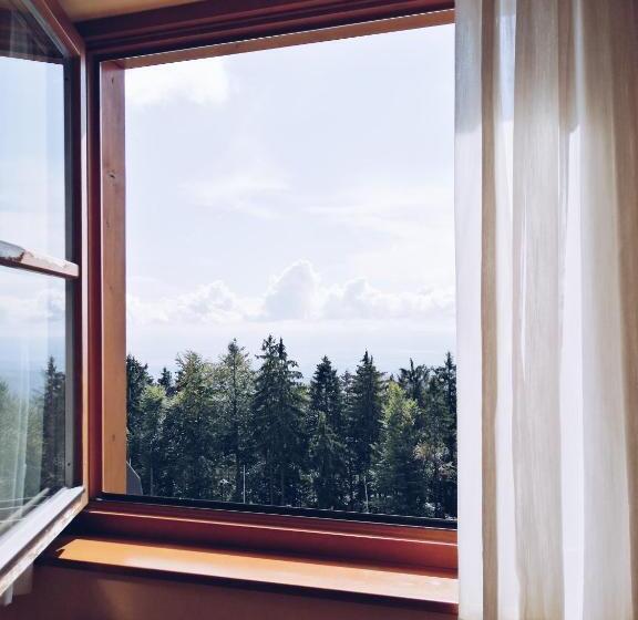 اتاق استاندارد, Pohorje Village Wellbeing Resort Forest Hotel Videc