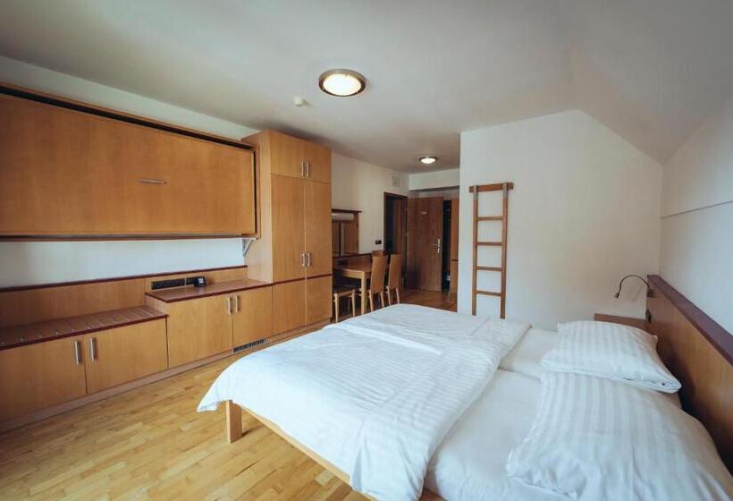 اتاق استاندارد, Pohorje Village Wellbeing Resort   Forest Hotel Videc