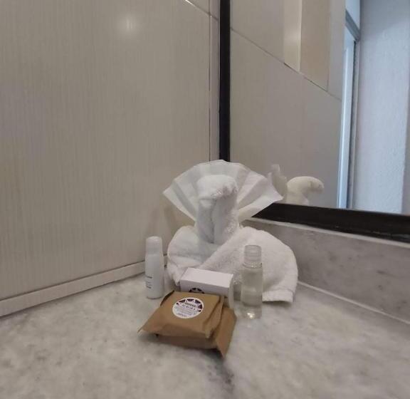 اتاق استاندارد با 2 تخت دوبل, Aurora