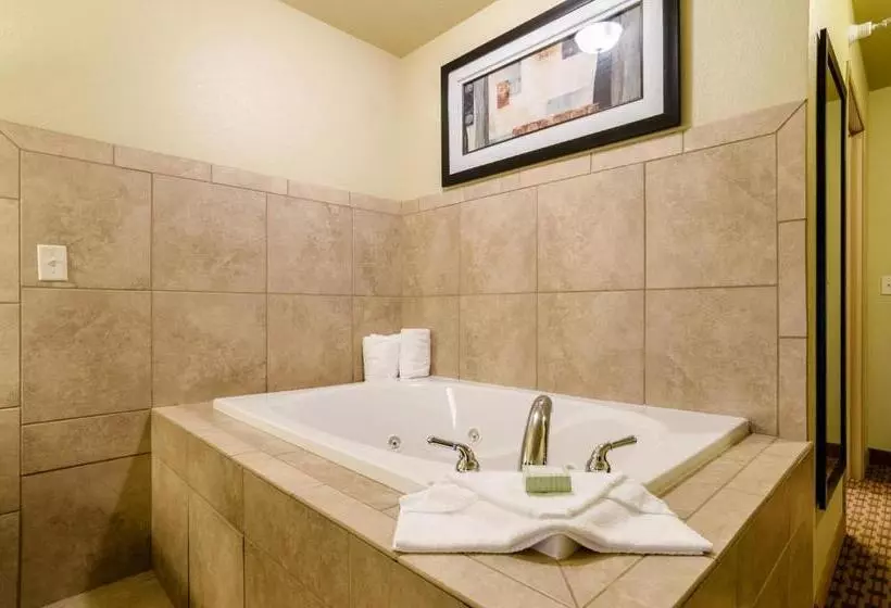 キングサイズベッドのデラックスルーム, Cobblestone Inn & Suites  Cambridge