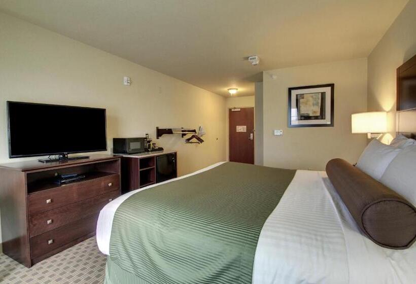 Номер Стандарт, Cobblestone Inn & Suites  Cambridge