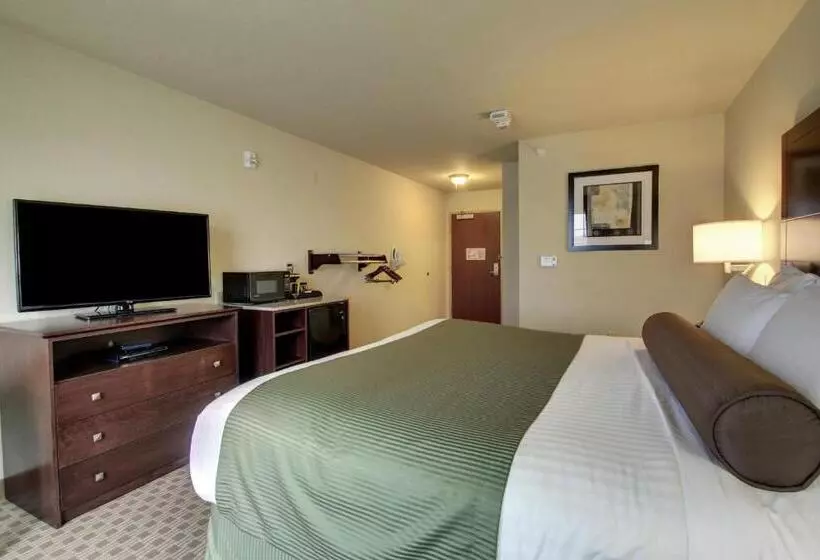 スタンダードルーム, Cobblestone Inn & Suites  Cambridge